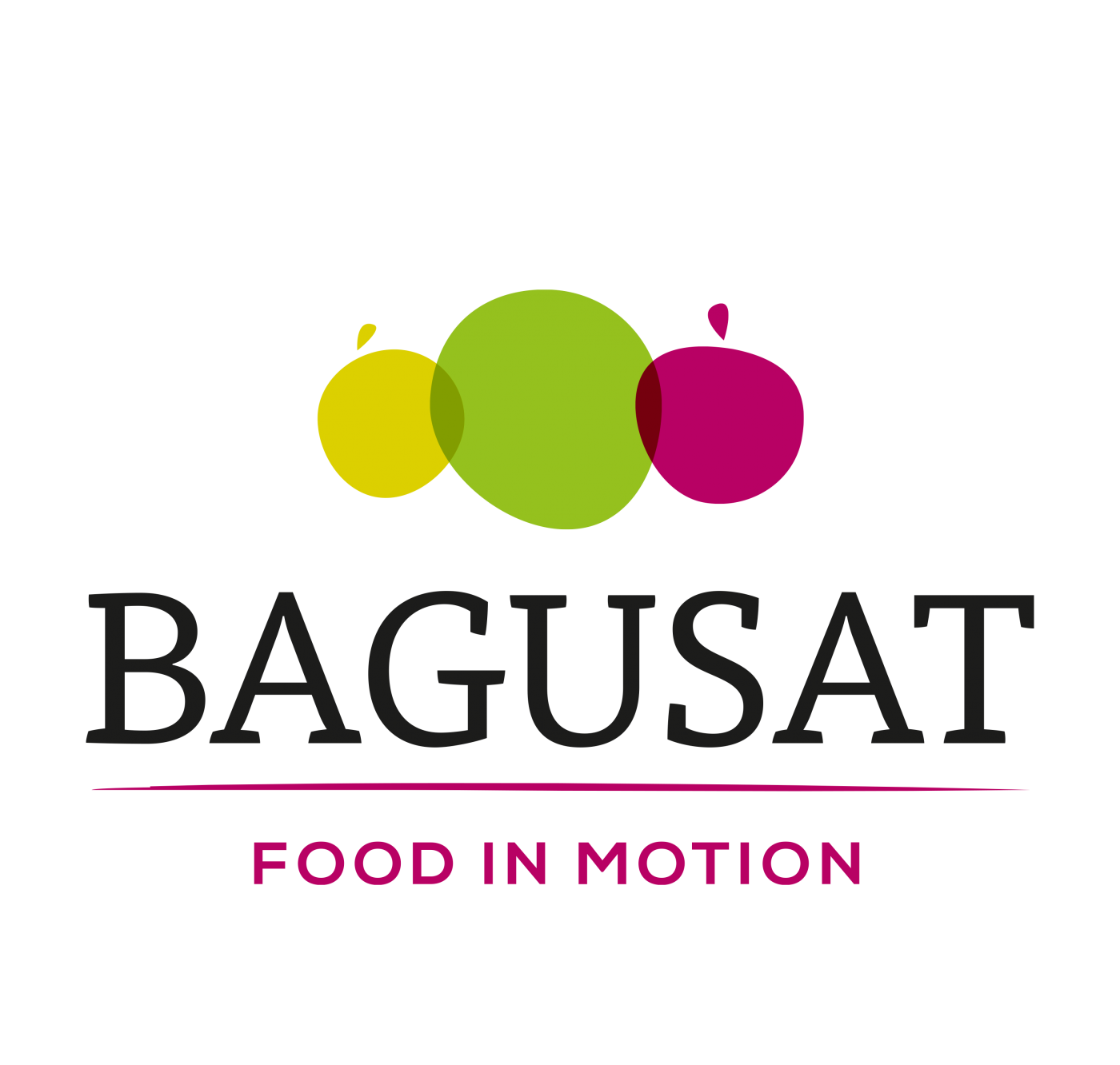 Datenschutzhinweise - BAGUSAT